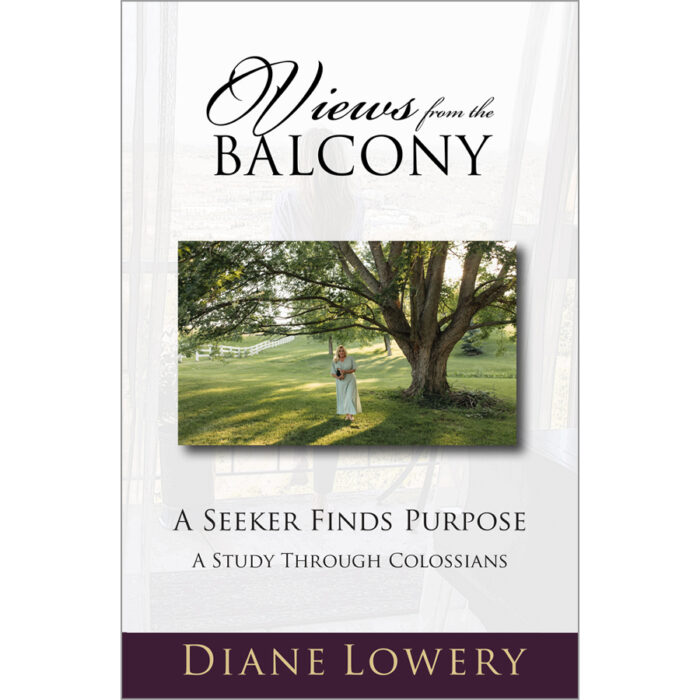 Views From the Balcony - A Seeker Finds Purpose